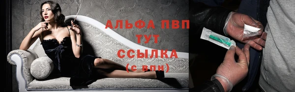 сатива Алексин