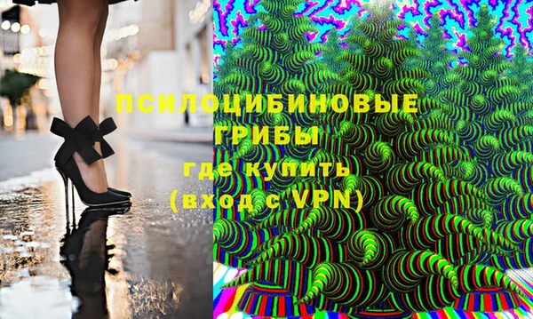 соль ск Арсеньев