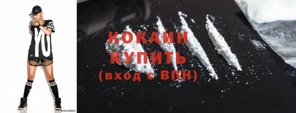 соль ск Арсеньев