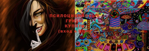 мескалин Осинники