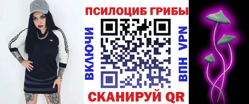 продажа наркотиков  Рыльск  Псилоцибиновые грибы MAGIC MUSHROOMS 